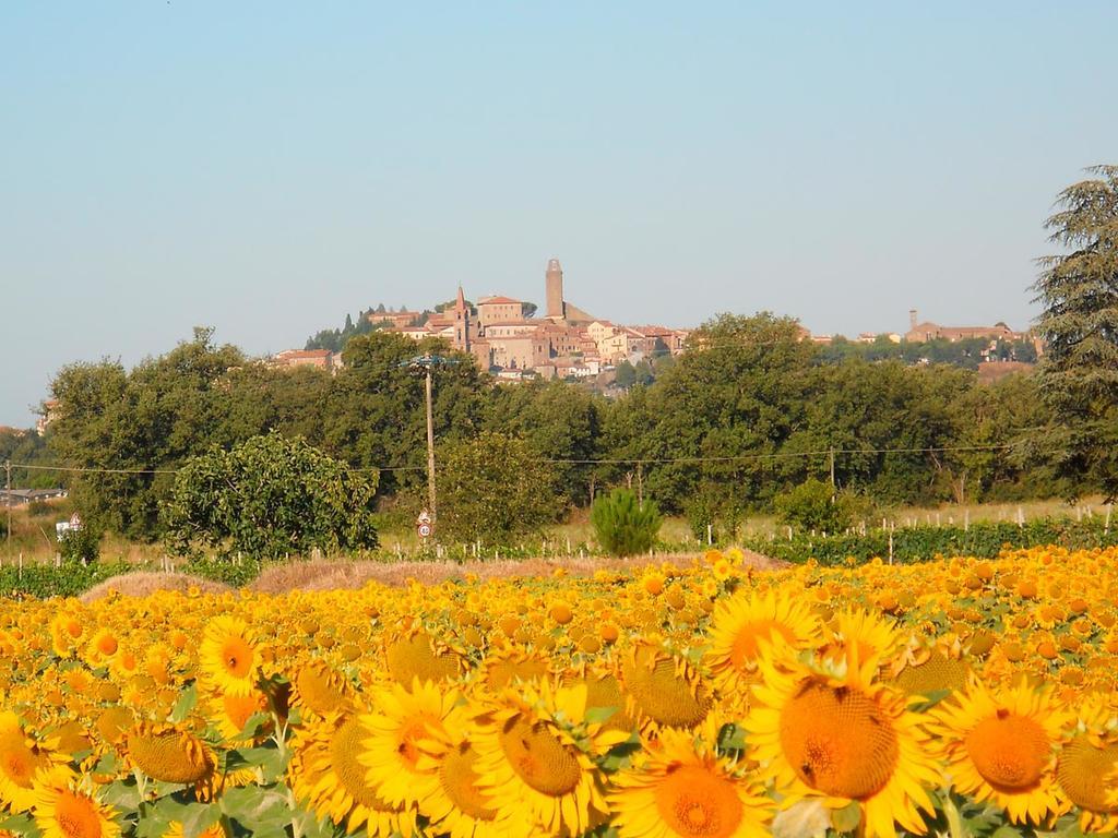 Mulino Vecchio Del Cilone Castiglion Fiorentino Exterior foto