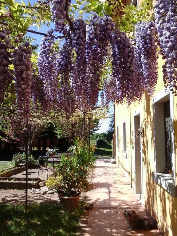 Mulino Vecchio Del Cilone Castiglion Fiorentino Exterior foto