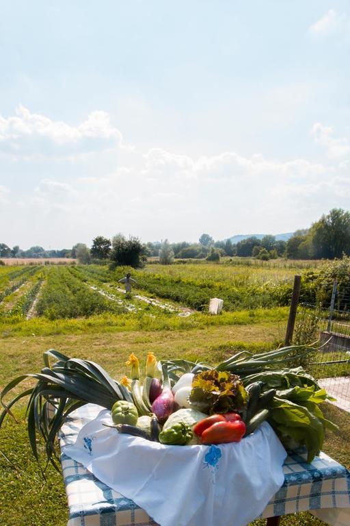 Mulino Vecchio Del Cilone Castiglion Fiorentino Exterior foto